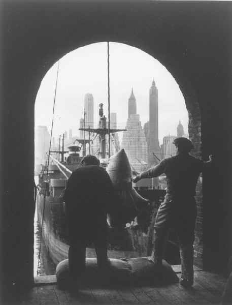 Unloading Coffee at Brooklyn Dock by Andreas Feininger
