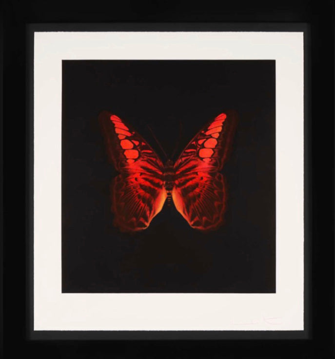 Red Butterfly, 2008 - Damien Hirst