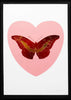 I Love You Butterfly, Pink/Red, 2015 - Damien Hirst