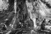 Kalema Camp 1985