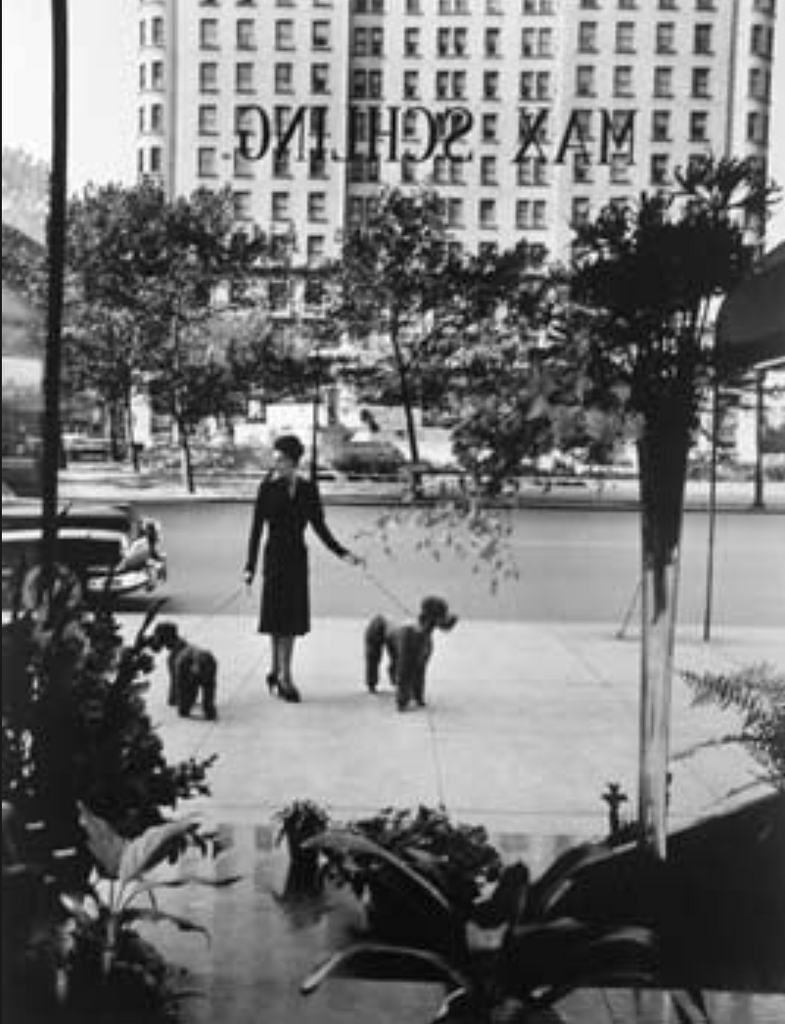 Max Schling Fifth Avenue, c1950 by Alfred Eisenstaedt