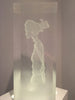 Imprint - Frost by Anne de Villemejane — original view