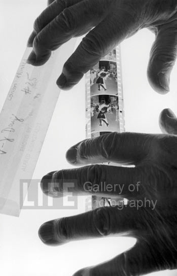Loengard's vjday_negative with both eisenstaedt hands
