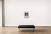 Room view — Albert Einstein by Alfred Eisenstaedt shown to scale on a gallery wall at 20 x 16 in. Not a reproduction of the work.