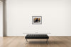 Room view — Alex Katz - Painter by Howard Schatz shown to scale on a gallery wall at 20 x 24 in. Not a reproduction of the work.