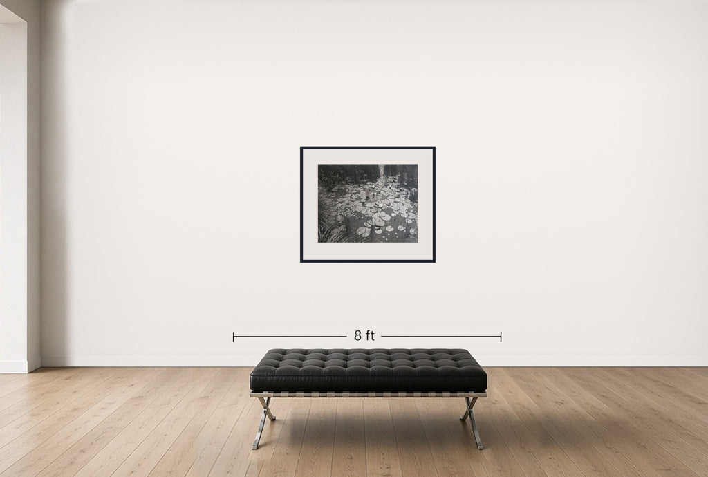 Room view — Aquatic Plants #1, Saddle River, New Jersey, 1967 by George Tice shown to scale on a gallery wall at 28 x 36 in. Not a reproduction of the work.
