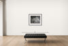 Room view — Aquatic Plants #1, Saddle River, New Jersey, 1967 by George Tice shown to scale on a gallery wall at 28 x 36 in. Not a reproduction of the work.