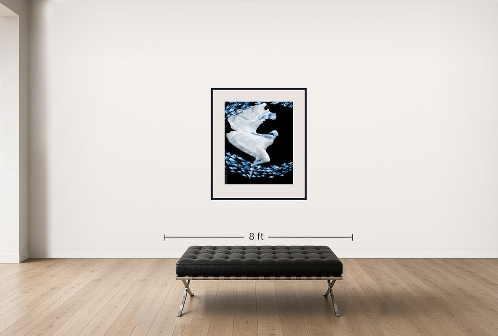 Room view — Atlantis #1 by Howard Schatz shown to scale on a gallery wall at 42 x 36 in. Not a reproduction of the work.