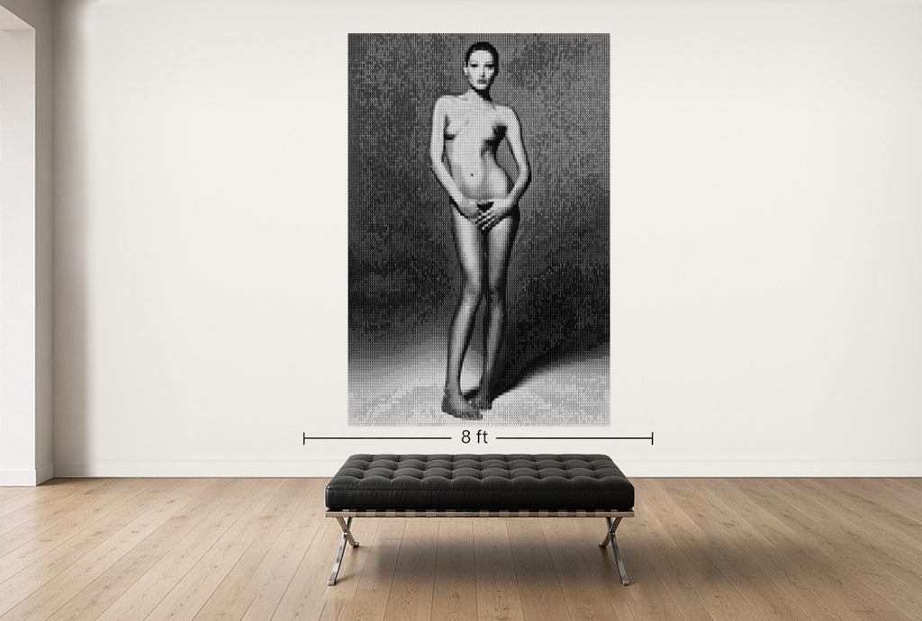 Room view — BRUNI vs SARKOZY, AFTER COMTE, 2009 by Alex G Cao shown to scale on a gallery wall at 108 x 72 in. Not a reproduction of the work.