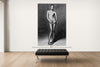 Room view — BRUNI vs SARKOZY, AFTER COMTE, 2009 by Alex G Cao shown to scale on a gallery wall at 108 x 72 in. Not a reproduction of the work.