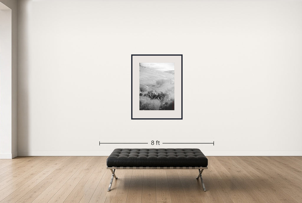 Room view — Cattle Drive #25 by Allen Birnbach shown to scale on a gallery wall at 40 x 30 in. Not a reproduction of the work.