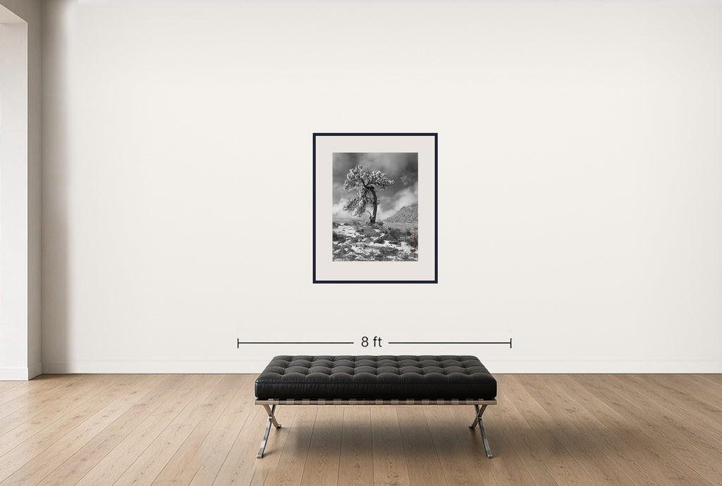 Room view — Centennial Cone Study #3 by Allen Birnbach shown to scale on a gallery wall at 40 x 30 in. Not a reproduction of the work.