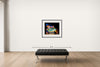 Room view — Dance Study #1415 Antonia Raye by Howard Schatz shown to scale on a gallery wall at 30 x 40 in. Not a reproduction of the work.