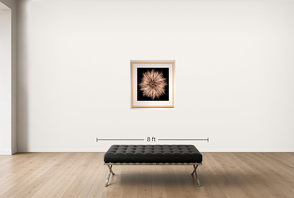 Room view — Dancers Flower #3 by Howard Schatz shown to scale on a gallery wall at 42.8333 x 42 in. Not a reproduction of the work.