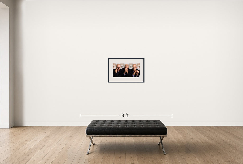Room view — David Brooks - Writer by Howard Schatz shown to scale on a gallery wall at 18 x 28 in. Not a reproduction of the work.