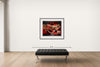 Room view — Envy - C by Howard Schatz shown to scale on a gallery wall at 38 x 48 in. Not a reproduction of the work.