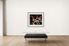 Room view — Envy - I Love Me by Howard Schatz shown to scale on a gallery wall at 38 x 48 in. Not a reproduction of the work.