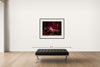 Room view — Eve Ensler - Playwrite ("The Vagina Monologues"), Performer, Feminist by Howard Schatz shown to scale on a gallery wall at 38 x 48 in. Not a reproduction of the work.