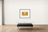 Room view — Gold Boombox 002 2018 by Lyle Owerko shown to scale on a gallery wall at 32 x 44 in. Not a reproduction of the work.
