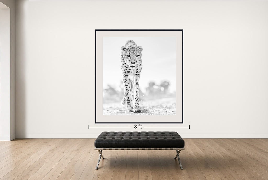 Room view — Hot Legs, 2019 by David Yarrow shown to scale on a gallery wall at 74 x 71 in. Not a reproduction of the work.