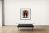 Room view — Human Body Study 1255 by Howard Schatz shown to scale on a gallery wall at 40 x 40 in. Not a reproduction of the work.