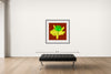 Room view — Mount Adams Orchid Cattleya 2 - APP by Howard Schatz shown to scale on a gallery wall at 40 x 40 in. Not a reproduction of the work.