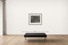 Room view — Oak Tree, Holmdel, New Jersey 1970 by George Tice shown to scale on a gallery wall at 28 x 36 in. Not a reproduction of the work.