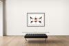 Room view — Olga Karmansky (rhythmic gymnastics) #1 -APP by Howard Schatz shown to scale on a gallery wall at 35.2 x 60 in. Not a reproduction of the work.