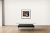 Room view — Pereston Williams,  Wide Receiver #012 by Howard Schatz shown to scale on a gallery wall at 30 x 40 in. Not a reproduction of the work.
