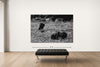 Room view — Sudan vs. Carter by Alex G Cao shown to scale on a gallery wall at 72 x 108 in. Not a reproduction of the work.