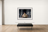 Room view — The Pieta with Brooke Shields by Howard Schatz shown to scale on a gallery wall at 48 x 64 in. Not a reproduction of the work.