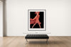 Room view — Underwater Study #132 - 1994 by Howard Schatz shown to scale on a gallery wall at 60.5 x 50 in. Not a reproduction of the work.