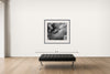 Room view — Underwater Study #2923 by Howard Schatz shown to scale on a gallery wall at 40 x 45 in. Not a reproduction of the work.