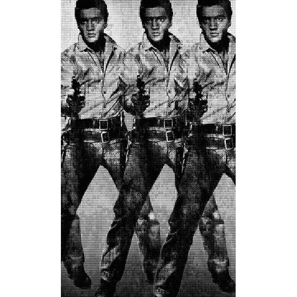 LOVE YOU TENDER, KILL ME SOFTLY, ELVIS vs WARHOL, 2014 x 3 - Alex G Cao
