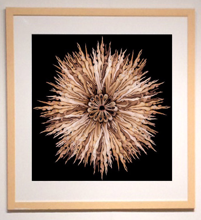 Dancers Flower #3 - Howard Schatz