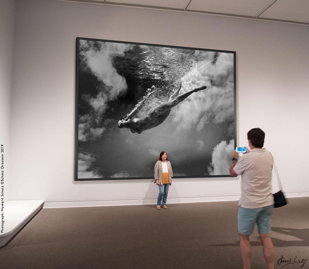 Howard Schatz at The Met