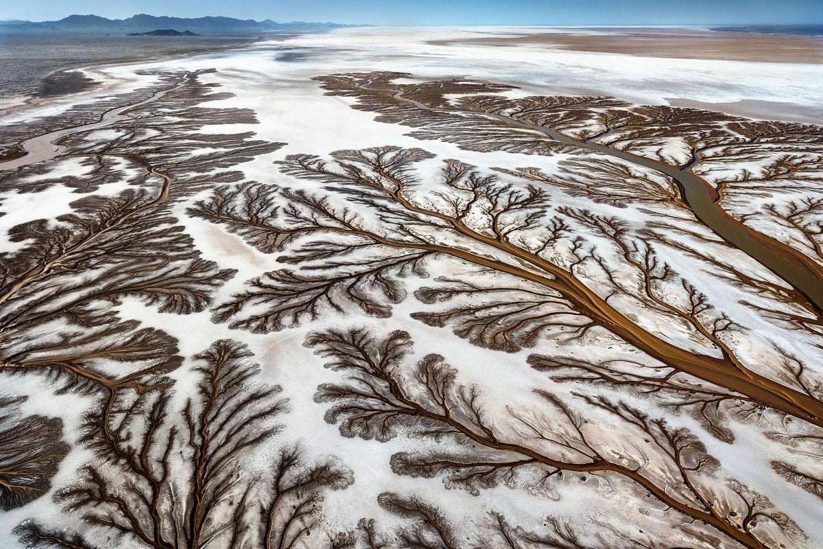 Vejrtrækning dateret slot Rio Del Mar - the mouth of the Colorado River delta: Paul Nicklen– GALLERY M