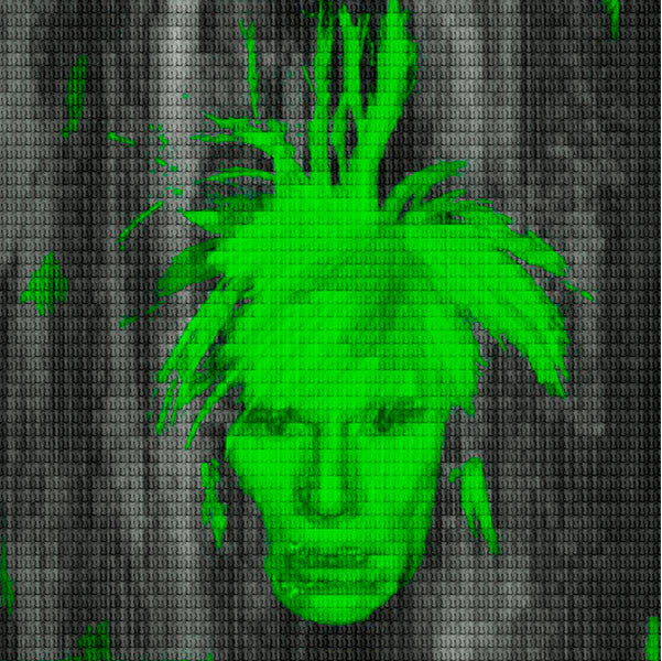  YOU & ME + WARHOL + YOU IN GREEN, 2014 by Alex G Cao