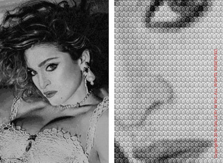 Madonna vs. Madonna by Alex G Cao