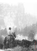 Cattle Drive #24 by Allen Birnbach