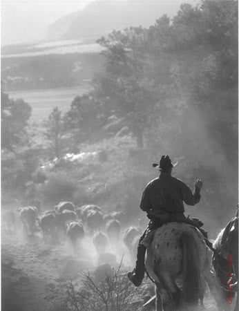 Cattle Drive #32 by Allen Birnbach