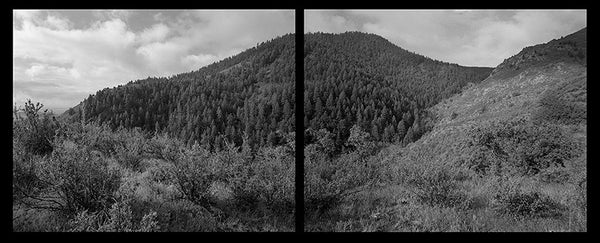 Deer Valley Study #2 by Allen Birnbach