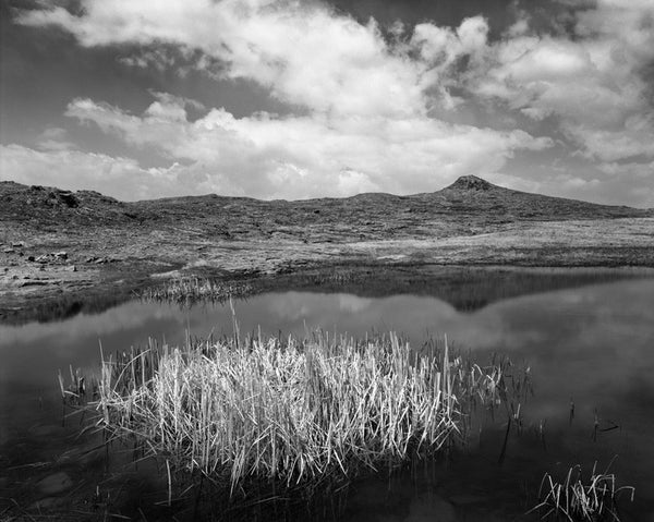 North Table Mountain Study #1 by Allen Birnbach