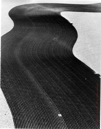 Crop Protective Pattern, Walsh, Colorado by Margaret Bourke-White