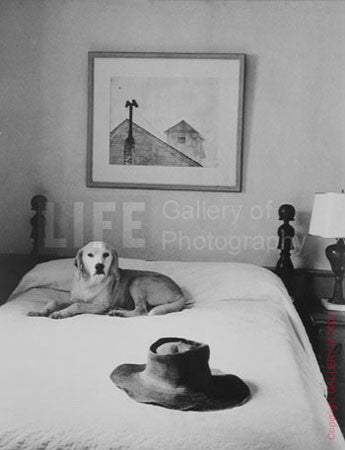Andrew Wyeth's Hat, Bed and Dog by Alfred Eisenstaedt