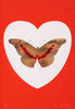 Damien Hirst - Red / Gold Foil