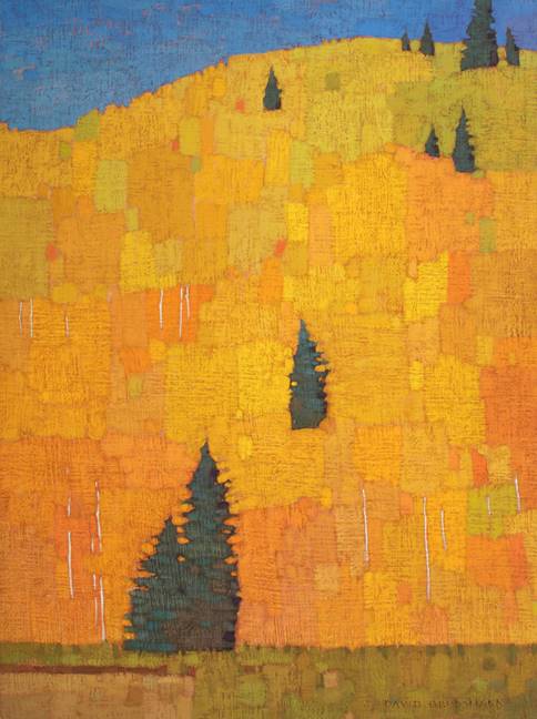 Scattered Pines and Aspen Patchwork, 2018-2019 - David Grossmann