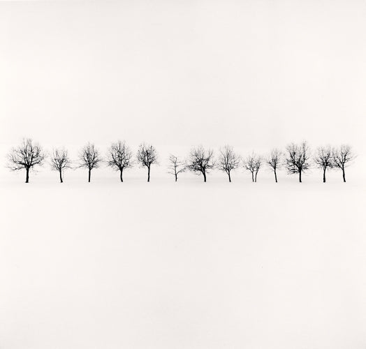 Fourteen Trees, Higashikawa, Hokkaido, Japan, 2009 - Michael Kenna