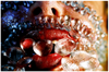 GAP - 2004 - AP - Marilyn Minter