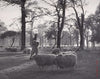 American GI on Stroll with Girlfriend by Ralph Morse